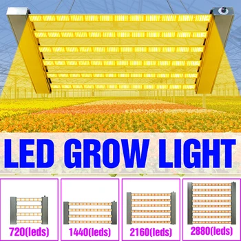 Светодиодная Фито-Лампа Полного Спектра Для выращивания растений Quantum Board Фито-Лампа 4000 Вт 5000 Вт Для Рассады Семян Комнатных растений, Палатка Для Выращивания